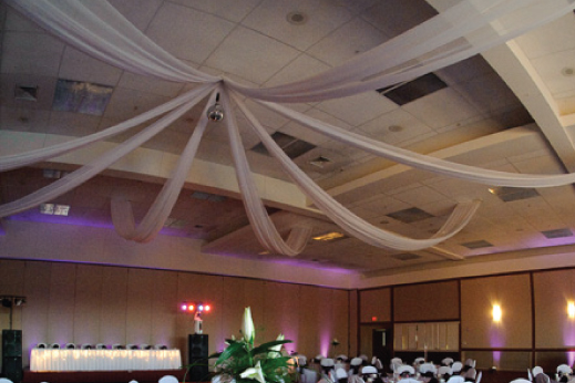 Ceiling Swag Party Pleasers Services